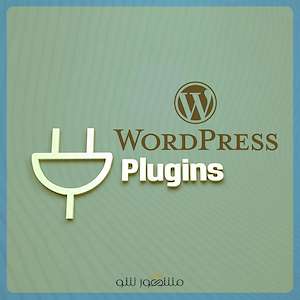 گروه مشهور شو آموزش افزونه‌ های مهم وردپرس برای سئو، امنیت، فروشگاه